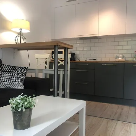 Nowy Dwupokojowy Idealny Na Narty Visla