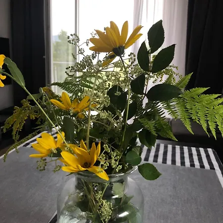 Apartment Nowy Dwupokojowy Idealny Na Narty