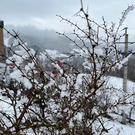 Nowy Dwupokojowy Idealny Na Narty Apartment *