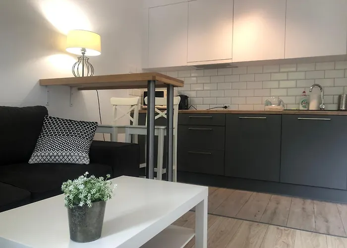 Nowy Dwupokojowy Idealny Na Narty ויסלאו