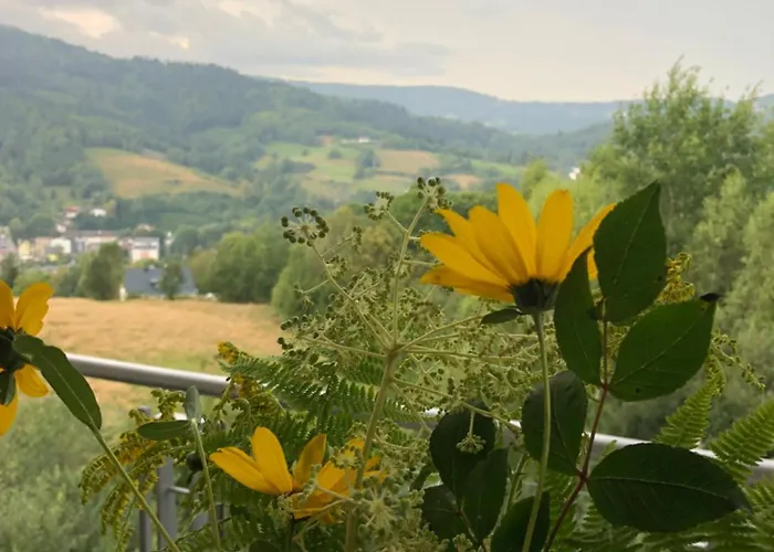 Nowy Dwupokojowy Idealny Na Narty * ויסלאו