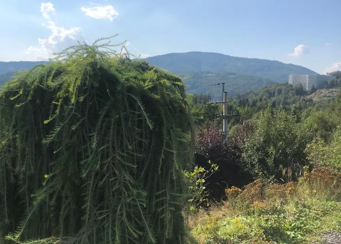 דירה Nowy Dwupokojowy Idealny Na Narty