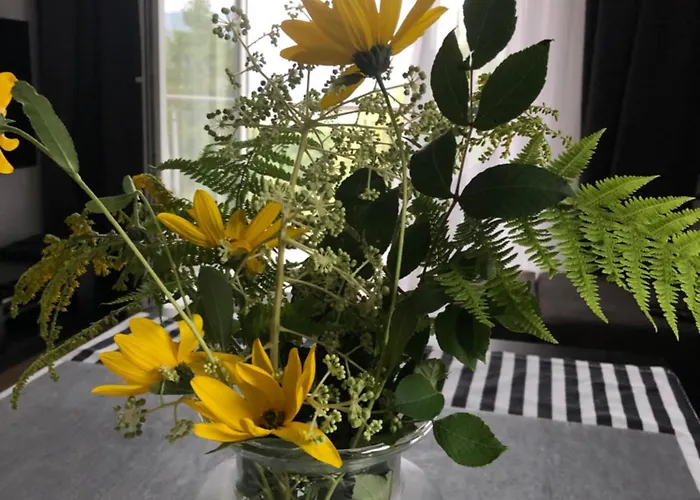 דירה Nowy Dwupokojowy Idealny Na Narty