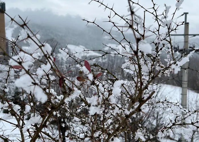 Nowy Dwupokojowy Idealny Na Narty דירה *